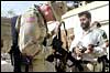 us veterans frontline photos